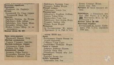 Ямполь в справочнике "Весь Юго-Западный край", 1913 Ямполь в справочнике "Весь Юго-Западный край", 1913