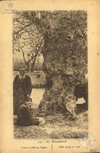 Старые евреи на отдыхе. Македония, 1918 Старые евреи на отдыхе. Македония, 1918