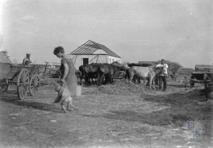 Сельскохозяйственная колония "Новый мир". Одесский район, Украина. 1930 г.