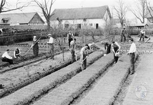 Сельскохозяйственные курсы ОРТа. Марьямполь, Литва. 1930-е гг. Сельскохозяйственные курсы ОРТа. Марьямполь, Литва. 1930-е гг.