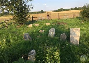 Jewish cemetery in Balamutivka, 2019 Jewish cemetery in Balamutivka, 2019