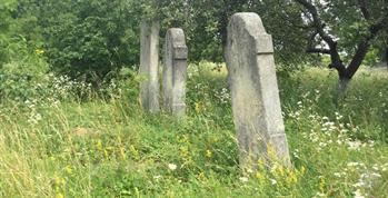 Jewish cemetery in Hlyboka, 2019 Jewish cemetery in Hlyboka, 2019