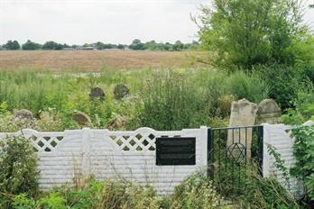 Jewish cemetery in Luzhany, 2019 Jewish cemetery in Luzhany, 2019