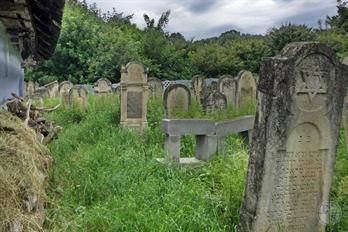 Jewish cemetery in Nepolokivtsi, 2019 Jewish cemetery in Nepolokivtsi, 2019