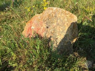 Jewish cemetery in Rzhavyntsi, 2019 Jewish cemetery in Rzhavyntsi, 2019