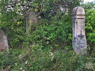 Jewish cemetery in Zveniachyn, 2019 Jewish cemetery in Zveniachyn, 2019