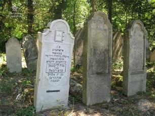 Jewish cemetery in Banyliv-Pidhirnyy, 2016 Jewish cemetery in Banyliv-Pidhirnyy, 2016