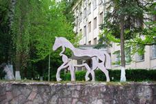 Kitsman and horse Kitsman and horse