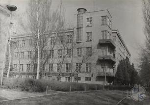 1950-ті роки 1950-ті роки