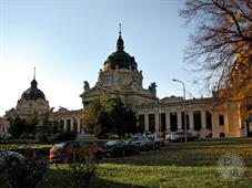 Знаменитые термальные купальни Сечени Знаменитые термальные купальни Сечени