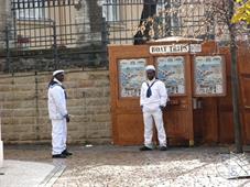 Туземные чешские матросы Туземные чешские матросы