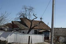 Застройка в старых кварталах Шепетовки Застройка в старых кварталах Шепетовки