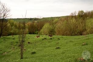 Это самое старое из кладбищ Это самое старое из кладбищ