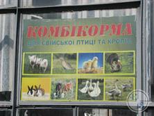Поросята в Староконстантинове на самом деле - птицы! Поросята в Староконстантинове на самом деле - птицы!