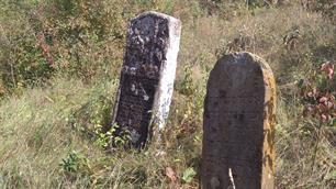 Старое кладбище в Волочиске Старое кладбище в Волочиске