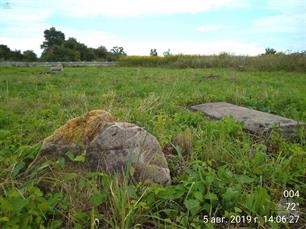 Jewish cemetery near village Velyki Didushychy, 2019