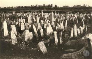 Jewish cemetery in Dobromyl, 1915-1917 Jewish cemetery in Dobromyl, 1915-1917