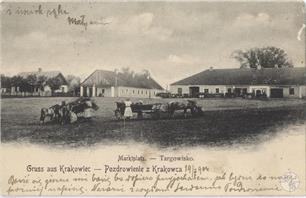 Greetings from Krakoviets, market, 1904 Greetings from Krakoviets, market, 1904