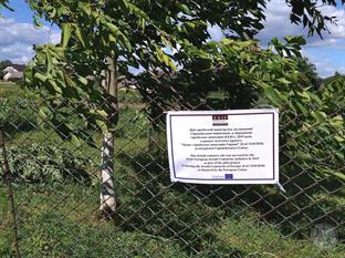 Jewish cemetery in Lysyatychi, 2019 Jewish cemetery in Lysyatychi, 2019