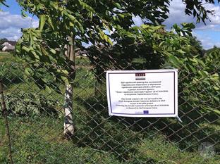 Jewish cemetery in Lysyatychi, 2019