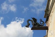 Dragon Dragon