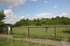 Old Jewish cemetery in Olesko, 2015 Old Jewish cemetery in Olesko, 2015