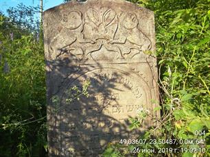 Jewish cemetery in Skole, 2019