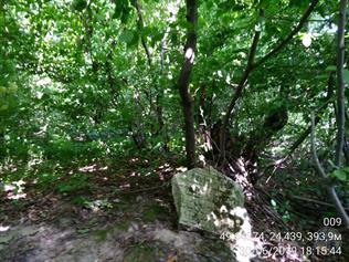 Both Jewish cemeterys of Svirzh were destroyed. This only fragment of matseva on Old cemetery, 2019