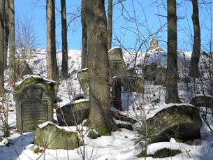 Jewish cemetery in Turka, 2011