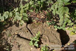 New Jewish cemetery, 2019 New Jewish cemetery, 2019