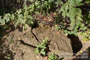 New Jewish cemetery, 2019