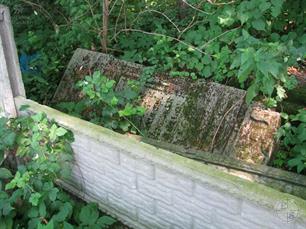 Jewish cemetery in Bukachivtsi, 2010