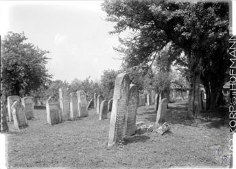 Jewish cemetery in Halych, 1914-1917 Jewish cemetery in Halych, 1914-1917