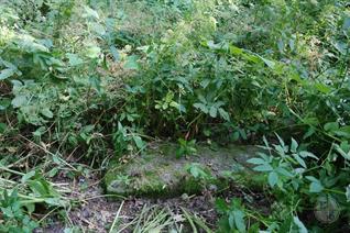 New Jewish Cemetery, 2019 New Jewish Cemetery, 2019
