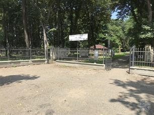 Old Jewish cemetery, 2019