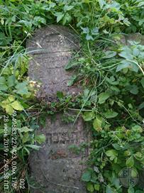 Old Jewish cemetery, 2019