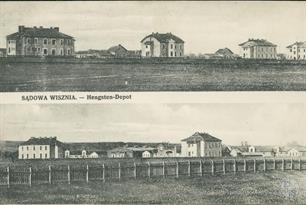 Horses Factory in Sadova Vyshnya, 1917