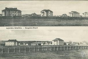 Horses Factory in Sadova Vyshnya, 1917 Horses Factory in Sadova Vyshnya, 1917