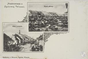 Sadova Vyshnya, 1906 Sadova Vyshnya, 1906