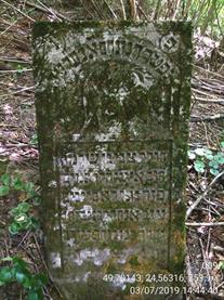 Jewish cemetery in Univ, 2019 Jewish cemetery in Univ, 2019