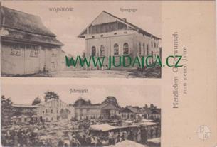 Обе синагоги Войнилова на австрийской открытке 1905 года
