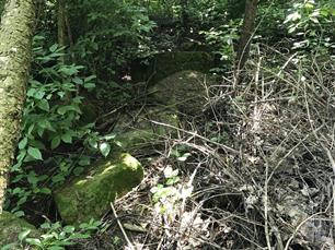 Jewish cemetery in Kozliv, 2019 Jewish cemetery in Kozliv, 2019