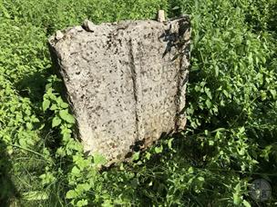 Lower Jewish cemetery in Budaniv, 2019 Lower Jewish cemetery in Budaniv, 2019