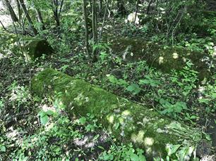 Jewish cemetery in Katerynivka, 2019 Jewish cemetery in Katerynivka, 2019