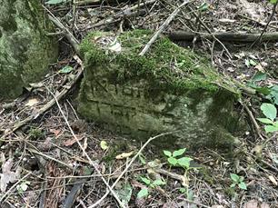 Jewish cemetery, 2019