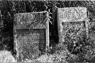 Jewish cemetery. Photo by D. Vilensky, 1991 Jewish cemetery. Photo by D. Vilensky, 1991