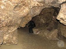 Caveman's ass) Caveman's ass)