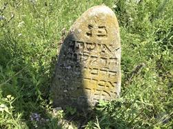 Old Jewish cemetery, 2019 Old Jewish cemetery, 2019