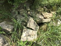 New Jewish cemetery, 2019 New Jewish cemetery, 2019