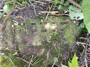 Tombstones in destroyed Jewish cemetery, 2019 Tombstones in destroyed Jewish cemetery, 2019